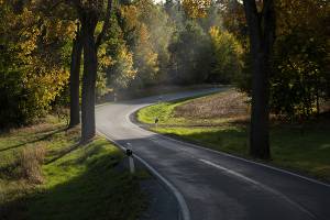 Curving country road surrounded by autumn trees in sunlight