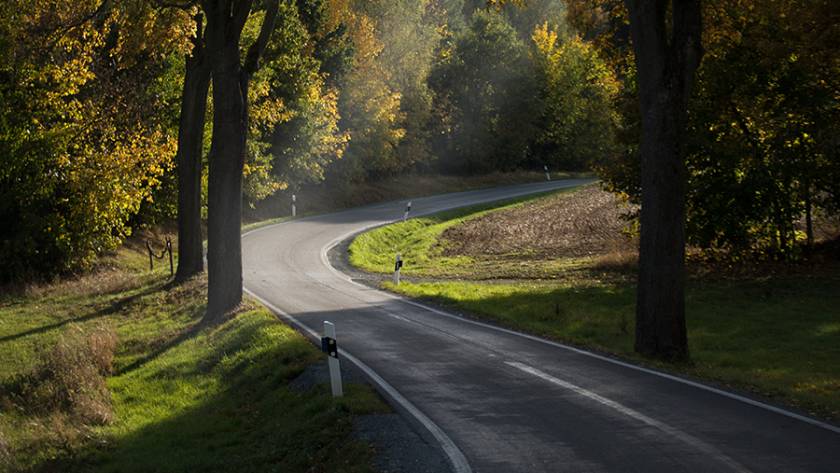 Curving country road surrounded by autumn trees in sunlight