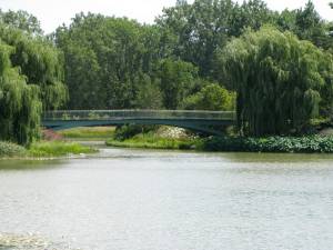 Bridge over calm river surrounded by lush greenery and willow trees in a tranquil park setting