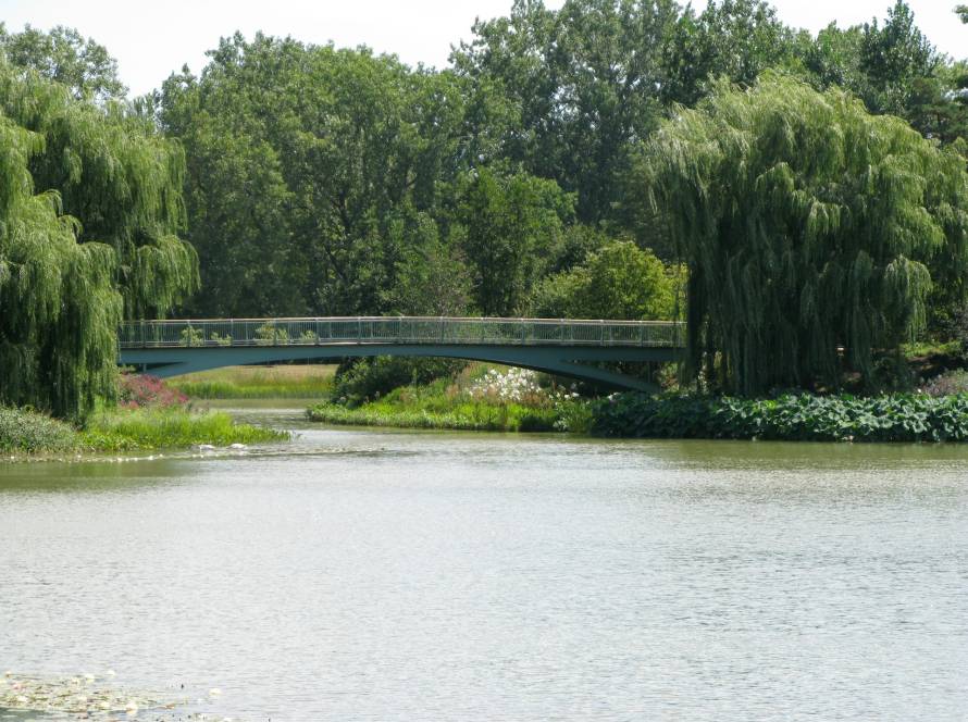 Bridge over calm river surrounded by lush greenery and willow trees in a tranquil park setting