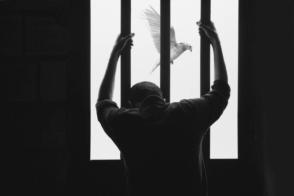 Silhouette of person holding bars with bird flying outside the window in black and white composition